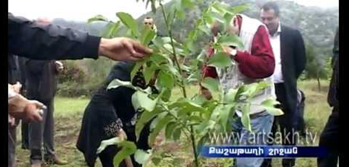 Gurgen Melikyan fund